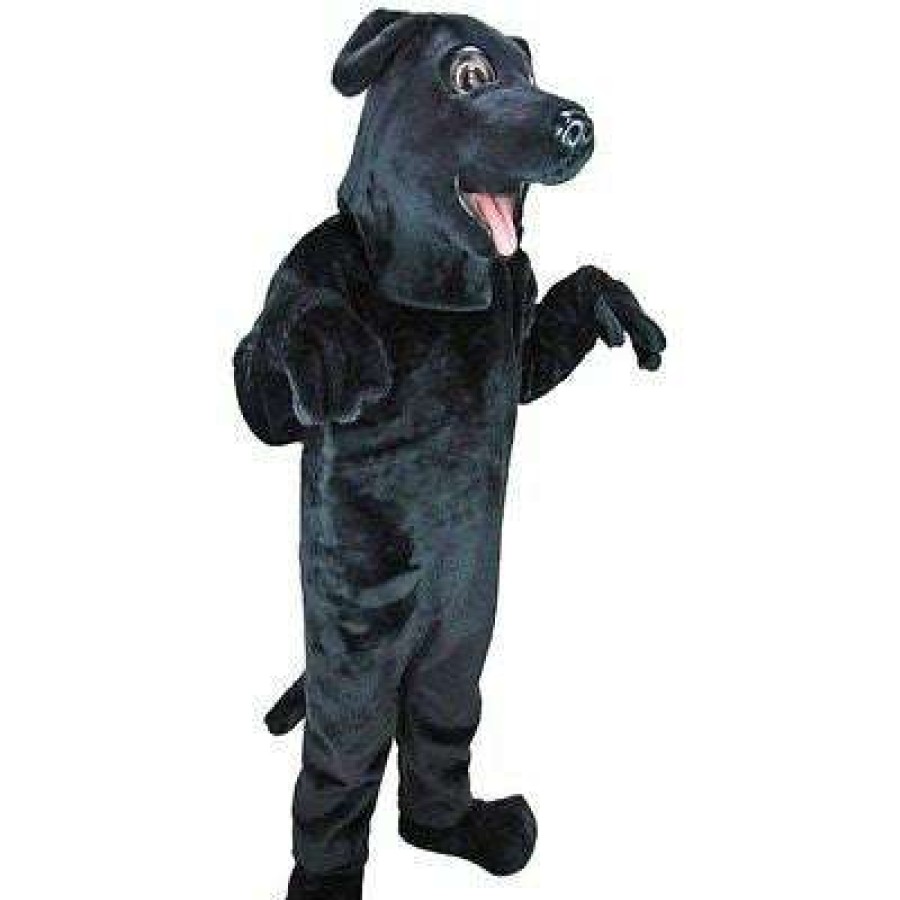 Dog Mascots * | Mask Us Dog Mascots Black Lab Dog Mascot Costume