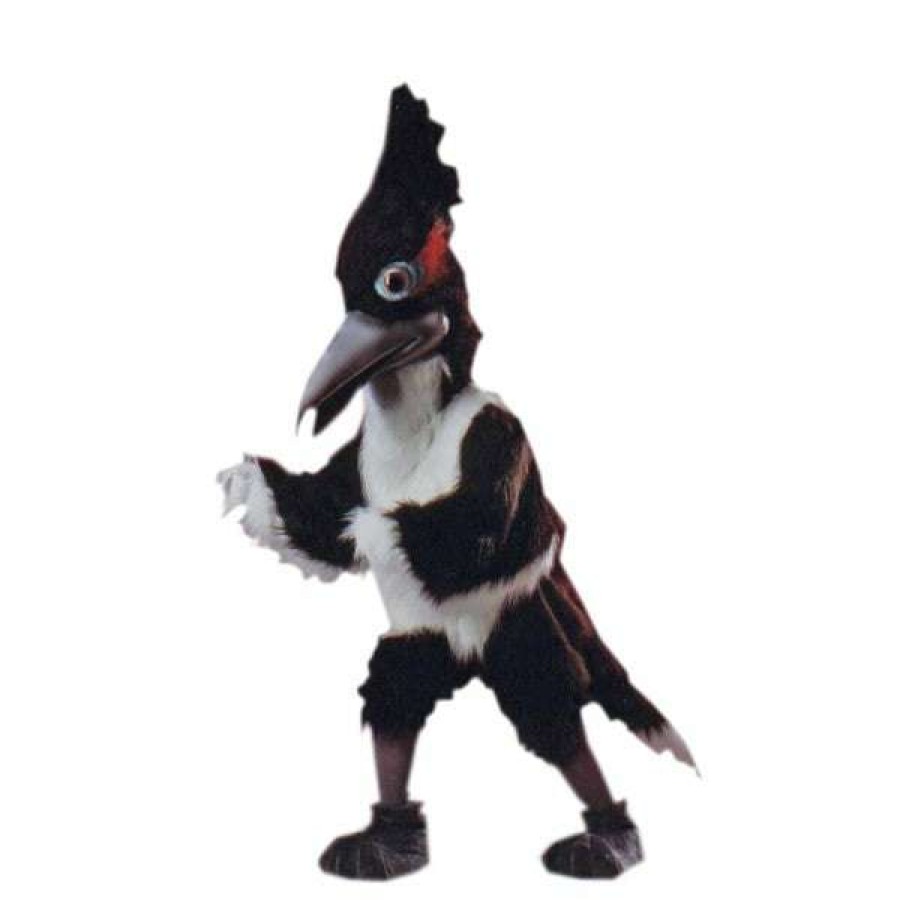 Bird Mascots * | Alinco Costumes Road Runner Mascot Costume