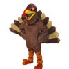 Bird Mascots * | Mask Us Bird Mascots Turkey Mascot Costume