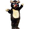 Bear Mascots * | Alinco Costumes Barnaby Bear Mascot Costume