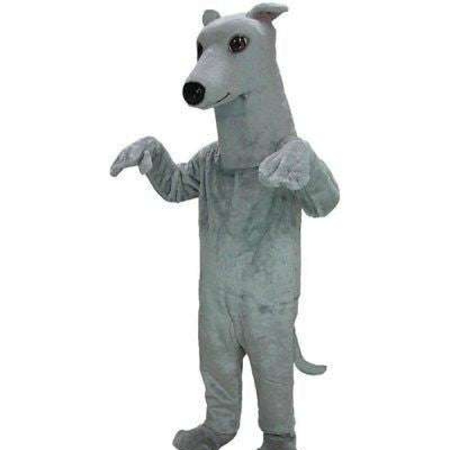 Dog Mascots * | Mask Us Greyhound Mascot Costume