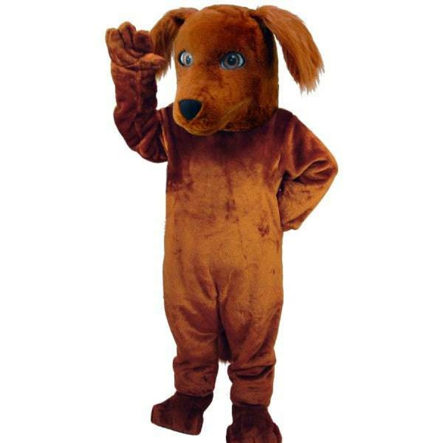 Dog Mascots * | Mask Us Irish Setter Lightweight Mascot Costume Dog Mascots