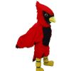 Bird Mascots * | Mask Us Cardinal Lightweight Mascot Costume Bird Mascots