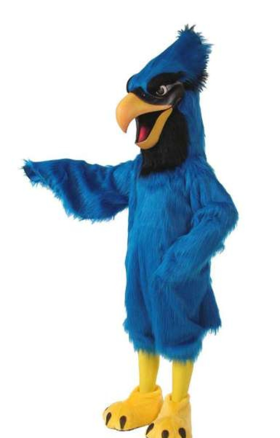 Bird Mascots * | Alinco Costumes Bird Mascots Blue Jay Mascot Costume