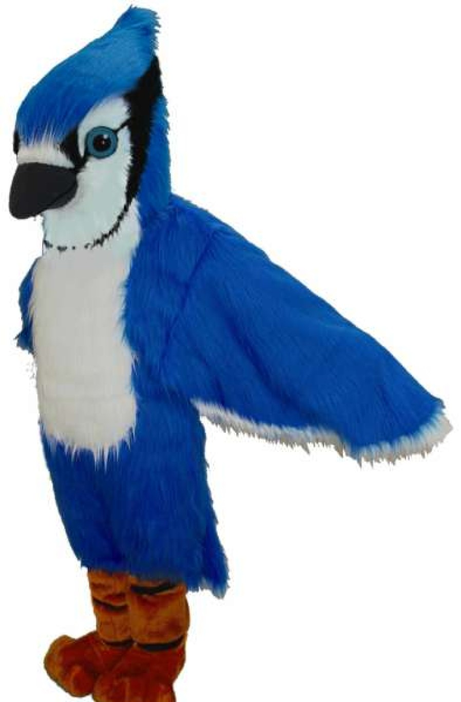 Bird Mascots * | Mask Us Blue Jay Lightweight Mascot Costume Bird Mascots