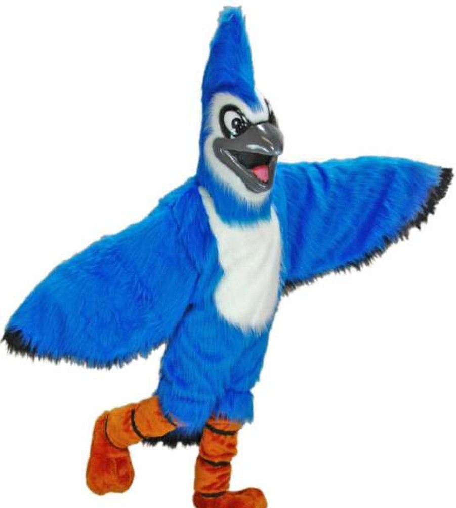 Bird Mascots * | Mask Us Blue Jay Mascot Costume Bird Mascots